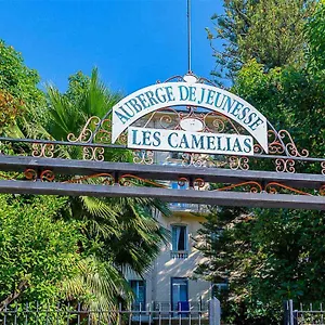 Hi Les Camelias Nice